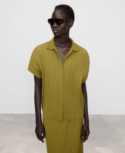 Olive green