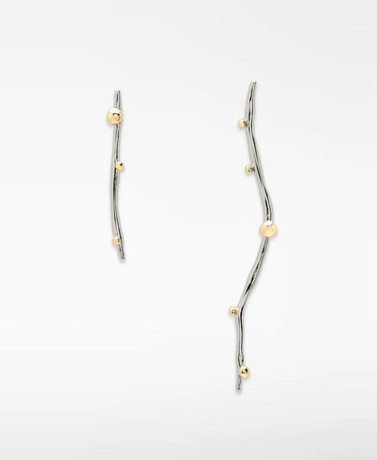 Gold/Silver